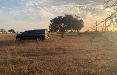 MBORO : 45 hectares agricoles à vendre