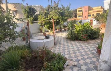 DAKAR ALMADIES : Villa 1000m2 à vendre