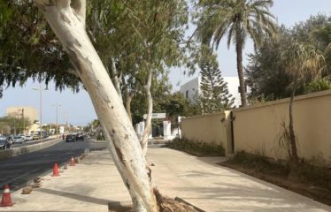 DAKAR FANN RÉSIDENCE : Villa de prestige à vendre