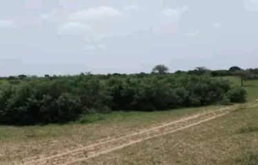 MBORO: 4h88a agricultural field for sale near Mboro