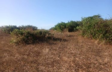 MBORO: 4h88a agricultural field for sale near Mboro