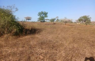 MBORO: 4h88a agricultural field for sale near Mboro