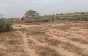 MBORO: 4h88a agricultural field for sale near Mboro