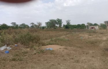 KHOMBOLE: Farm for sale – 10,000 m2
