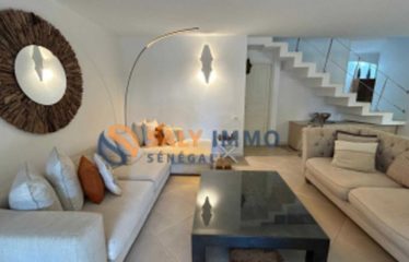 NGAPAROU : Villa afro-contemporaine à vendre – 2ème ligne