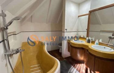 NGAPAROU : Villa afro-contemporaine à vendre – 2ème ligne