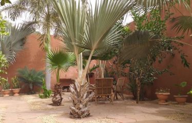 NGAPAROU : Charmant Riad à vendre – Proche Drève des Belges