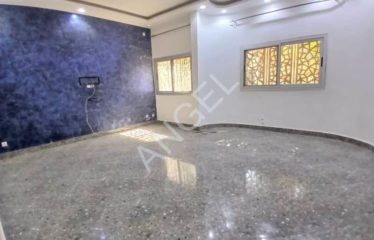 KOUNOUNE : Villa R+1 à louer derrière SEDIMA