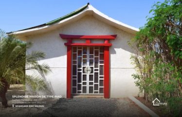 SINE SALOUM: Splendid riad-style house for sale on an island in the Sine Saloum