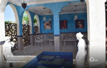 SINE SALOUM: Splendid riad-style house for sale on an island in the Sine Saloum