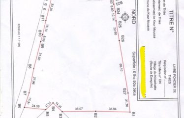 POUT : Terrain agricole à vendre