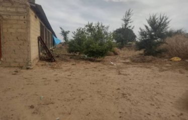 TASSETTE : Champ à vendre – Tassette près de Thiès