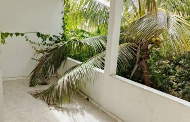 JOAL: Corner house for sale not far from the sea