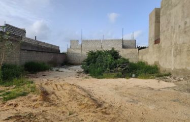 SALY : Terrain de 300 m2 à vendre