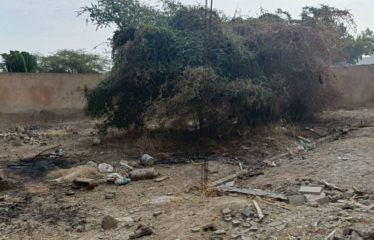 NGAPAROU : Terrain de 600 m2 proche bord de route à vendre