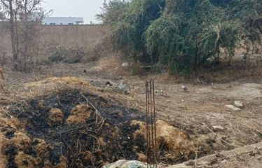 NGAPAROU : Terrain de 600 m2 proche bord de route à vendre