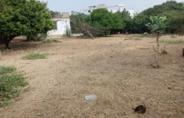 NGAPAROU : Terrain de 1 886 m2 bord de mer à vendre