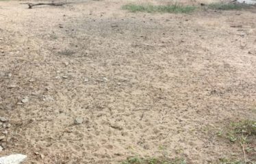 NGAPAROU : Terrain de 1 886 m2 bord de mer à vendre