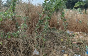 NGAPAROU : Terrain proche bord de mer (30 m) de 693 m2 à vendre