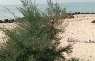 NGAPAROU : Terrain pieds dans l&rsquo;eau de 1 200 m2 à vendre