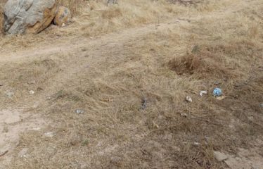 NGAPAROU : Terrain pieds dans l&rsquo;eau de 1 200 m2 à vendre