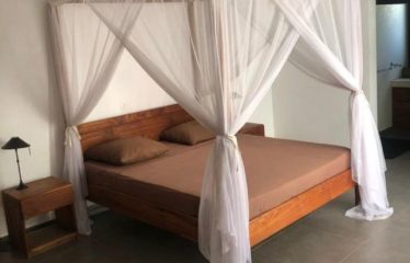 NGAPAROU: Magnificent villa for rent – ​​Drève des Belges