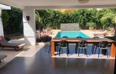 NGAPAROU: Magnificent villa for rent – ​​Drève des Belges