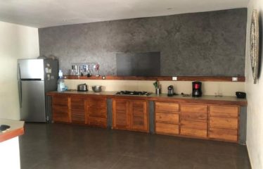 NGAPAROU: Magnificent villa for rent – ​​Drève des Belges