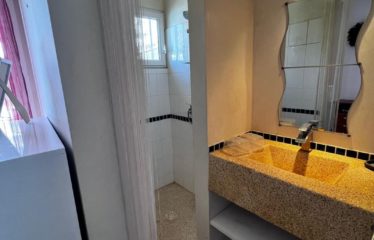 SALY : Très belle villa de charme à vendre