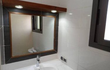 SALY : Immeuble R+1 à vendre