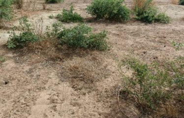 NGUEKHOKH : Terrain de 7 052 m2 à vendre