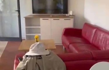 NGUEKHOKH : Belle villa de charme à vendre