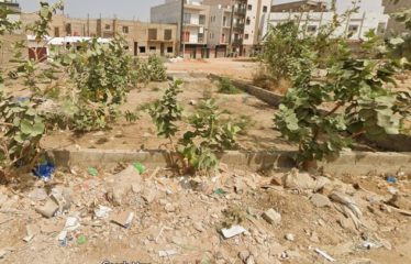 RUFISQUE : Terrain 225 m2 à vendre – Almadies 2