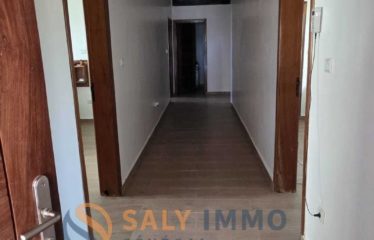 NGUERIGNE : Villa à louer