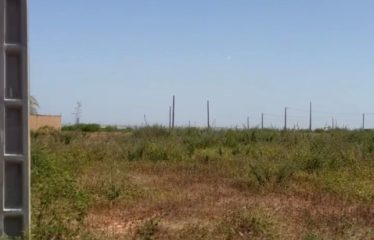 POUT : Terrain à vendre 180 m2