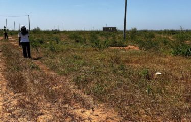 POUT : Terrain à vendre 180 m2