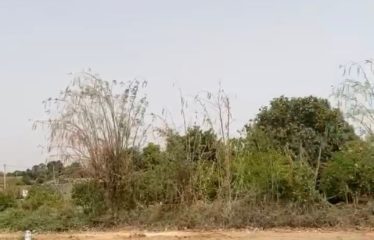 THIES: Land for sale, 225 m2