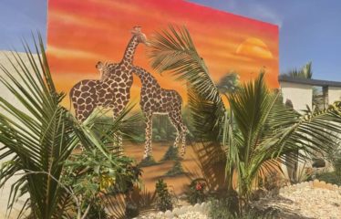 MBALLING : Belle villa à vendre