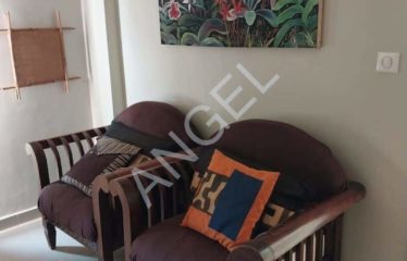DAKAR FANN RESIDENCE: Furnished apartment for rent