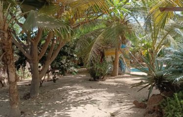 WARANG : Villa traditionnelle 3 chambres avec piscine à vendre