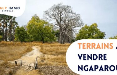 NGAPAROU : Terrains viabilisés proche Ecole EBA à vendre